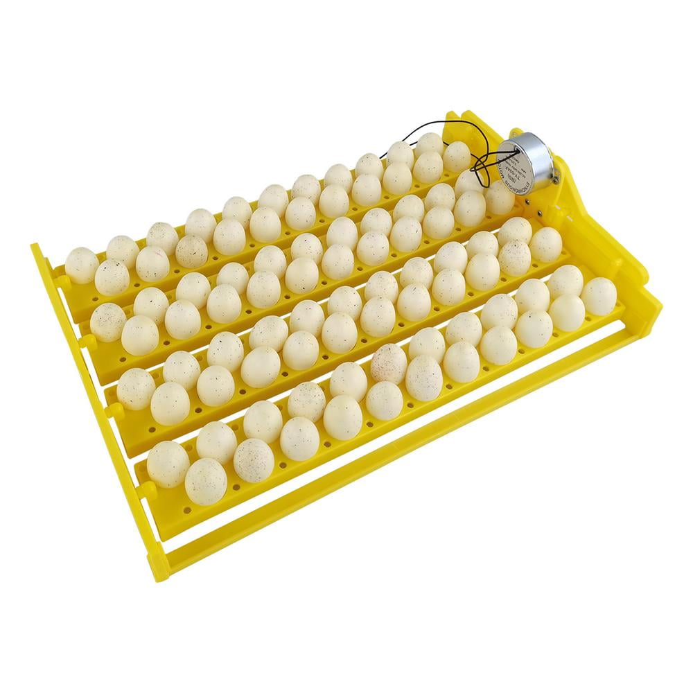 Buy Fovolat Automatic Egg Turner Tray 88 Fully Automatic Incubator