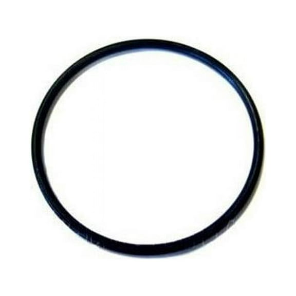 Pentair PacFab 152501 2" Adapter O-Ring