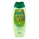 thumbnail image 1 of Jabón Líquido Corporal Palmolive Naturals Sensación Humectante Aloe y Oliva 390 ml, 1 of 4