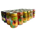 Premium Tropical Juice Drink Party Bundle of 10 Assorted Flavors (24