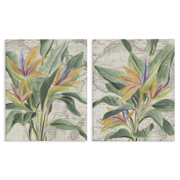 Stupell Industries Flowers over Vintage Map Floral Painting Wrapped Canvas Canvas Art Print Wall Art, 16 x 20, Set of 2
