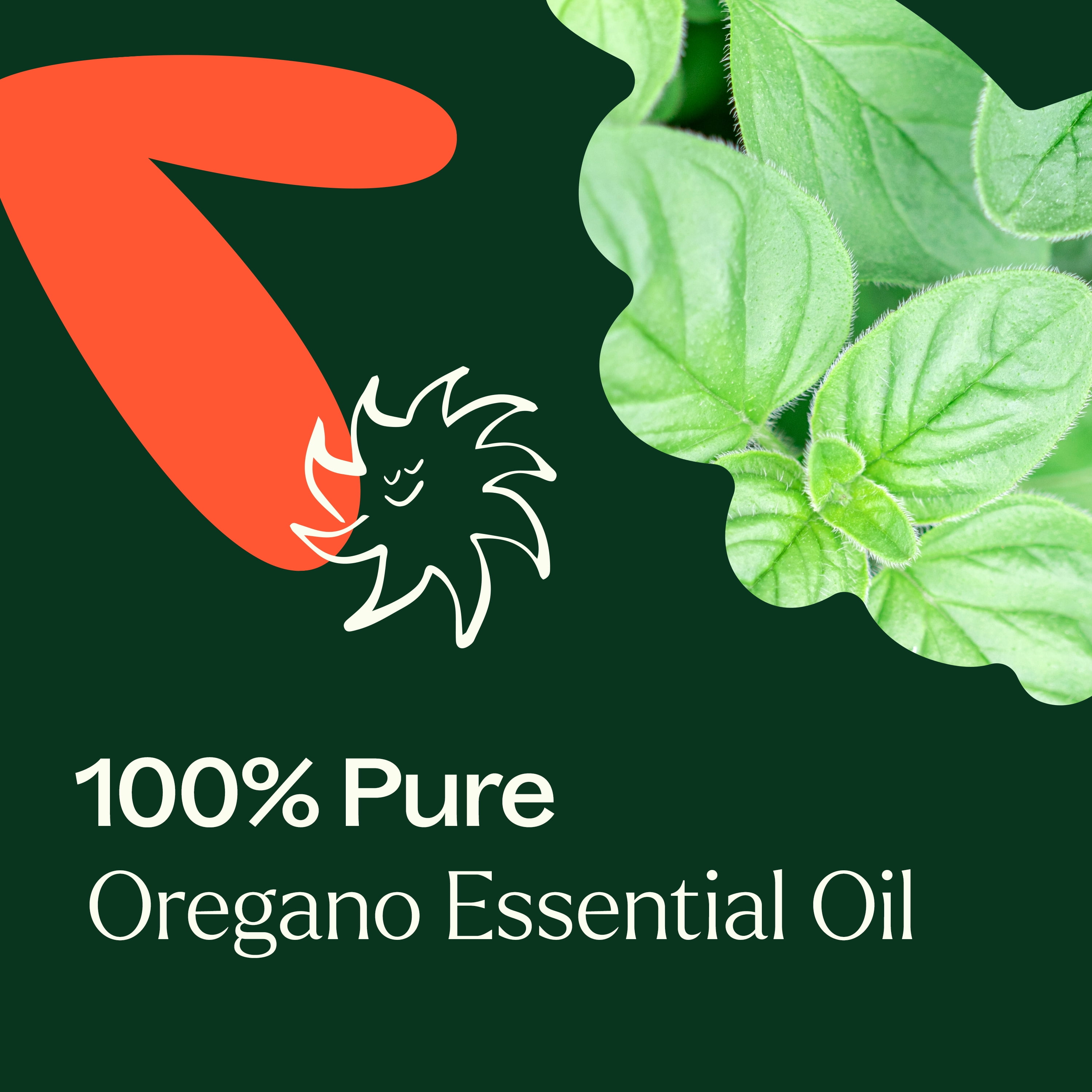 Plant Therapy Oregano Essential Oil 10 ml (1/3 oz) 100% Pure, Undiluted, Natural Aromatherapy for Diffuser, Cleaning, DIY  Products
