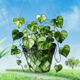 thumbnail image 4 of SLYNSHome Green Plant Sun Catcher Window Hanging Ornaments,Acrylic Green Vines Plant Pot Suncatcher for Indoor Window Decor Wall Art Plants, 4 of 7
