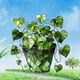 thumbnail image 4 of Heart Shaped Potted Greenery 2D Hanging Ornament for Outdoor Window Garden Patio Decoration 1-Pack, 4 of 7