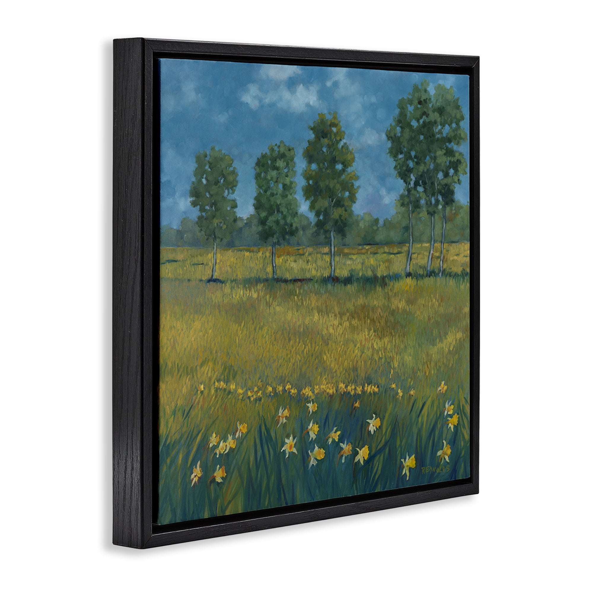 Stupell Industries Meadow with Daffodils Landscape & Nature Painting Black Floater Framed Canvas Art Print Wall Art, 25 x 25