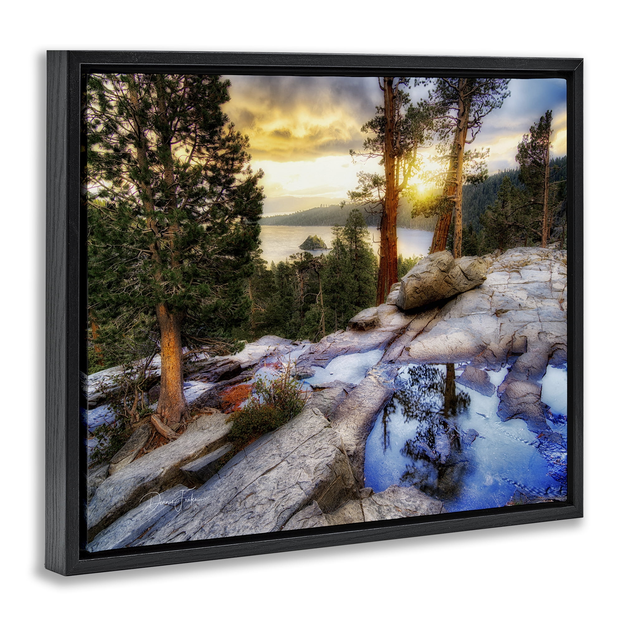 Stupell Industries Forest Cliff Landscape Landscape & Nature Painting Black Floater Framed Canvas Art Print Wall Art, 21 x 17