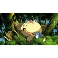 My Neighbor Totoro (Blu-Ray + DVD) - Walmart.com