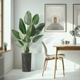 thumbnail image 5 of Artificial Tree in Modern Granite Effect Planter, Fake Bird of Paradise Silk Tree for Indoor and Outdoor Home Decoration - 67" Overall Tall (Plant Pot Plus Tree), 5 of 5