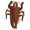 A57 Coffee, variant on Women's Funny Bug Onesie Pajamas Adult Cockroach Halloween Costume Insect Animal Romper Plush Cosplay Outfit for Novelty Dress Up Party and Stage Prop