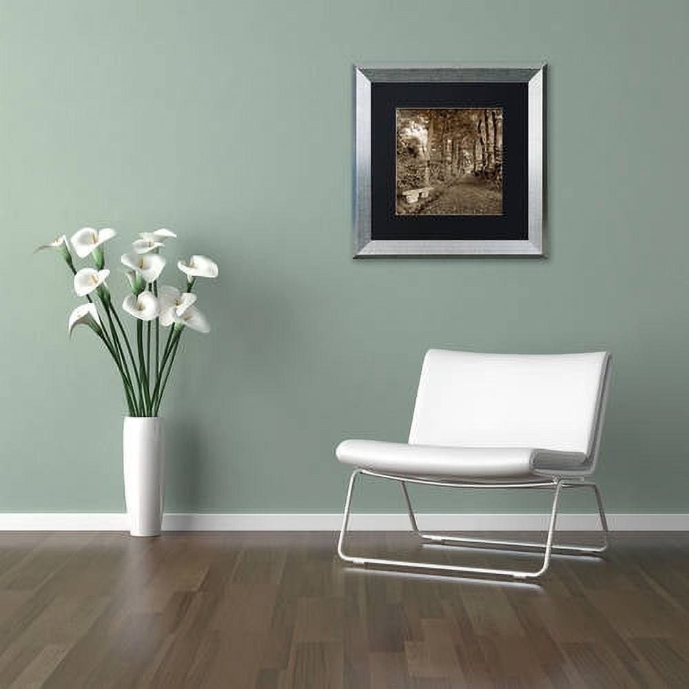 Trademark Fine Art "Fiesole Giardini II" Canvas Art by Alan Blaustein, Black Matte, Silver Frame