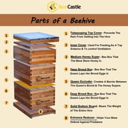 BeeCastle 8 Frame Langstroth Bee Hive Coated with Beeswax Includes Beehive Frames and Waxed Foundations (2 Deep Boxes & 1 Medium Box)
