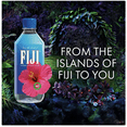 thumbnail image 3 of FIJI Natural Artesian Water, 16.9 Fl Oz (Pack of 24) - Packaging May Vary, 3 of 9