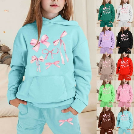 Huachaog 2 Piece Outfits for Girls Child Long Sleeve Floral Print Hoodie Pullover Pants Kids Clothes Suit 2-3 Y
