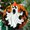 Evil Scary2730, variant on Ornament Window Hanging - Halloween Decoration Glowing Forest Ghost Suncatcher for Door Garden Spooky Orange Sun Catchers Gothic Decor Horror Gifts for Women Men Friend Boy 2025,