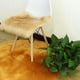 thumbnail image 4 of Cojín de terciopelo para sofá y silla, tejido similar a la lana, alfombrilla para sillas de comedor y de ordenador, funda de asiento lavable, 4 of 4