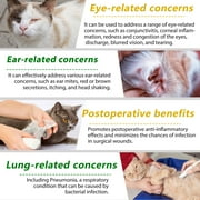 Oimmal Natural Antibiotics for Cats Liquid, Help with Anti Inflammatory & Bacterial &Viral & Fungal, Dietary Supplement for Cat - 2 fl oz(60 ml) - Chicken Flavor