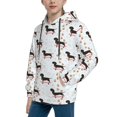 Zufioo Dachshund On A Skateboard Design Hoodies For Boys and Girls