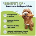 thumbnail image 4 of Pawstruck Natural Large Beef Collagen Sticks, Single Ingredient Chews for Dogs, 2pk, 4 of 11