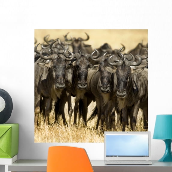 Wildebeest Masai Mara Kenya Wall Mural by Wallmonkeys Peel and Stick Graphic (24 in H x 24 in W) WM85164
