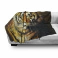thumbnail image 3 of Tiger Soft Flannel Fleece Throw Blanket, Oil Painting Style Big Cat Purposeful Eyes Carnivore Bengal Feline of East, Cozy Plush for Indoor and Outdoor Use, 60" x 80", Black Pale Brown, by Ambesonne, 3 of 6