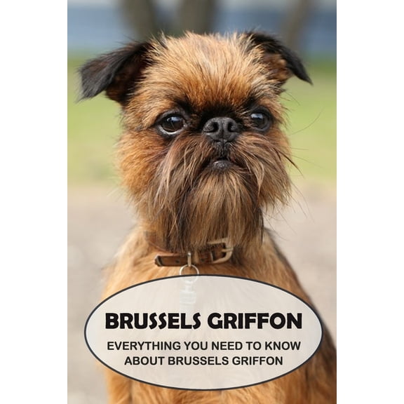 Brussels Griffon: Everything You Need to Know About Brussels Griffon: Brussels Griffon Dog Breed Pictures, (Paperback)