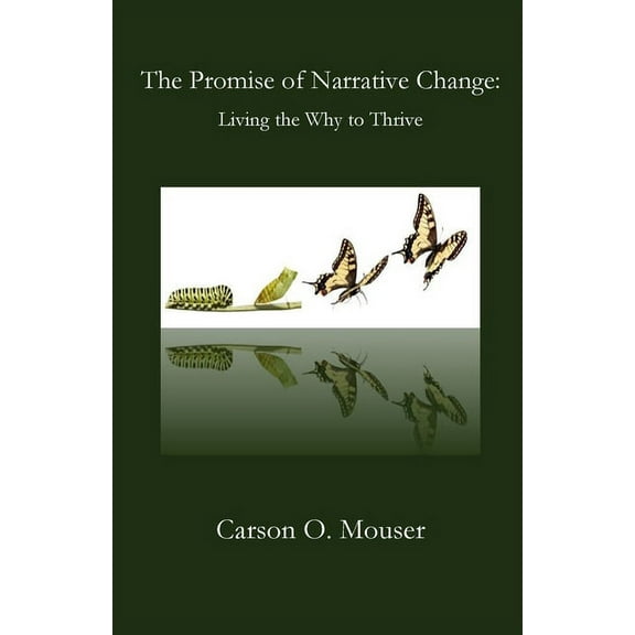 The Promise of Narrative Change, (Paperback)