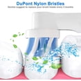 thumbnail image 5 of LinenLoon Têtes de Brosse à Dents Compatibles Remplacement pour - Lot de 16, 5 of 5