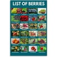 thumbnail image 1 of Berry Varieties Identification Chart Healthy Eating Fruit Guide Educational Kitchen Poster for Home Living Room Bedroom Decor poster Unframed12x18inch(30x45cm), 1 of 1