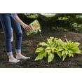 thumbnail image 7 of Ortho Bug-Geta Snail & Slug Killer2, 3.5 lb., Effective For up to 3 Weeks, 7 of 7