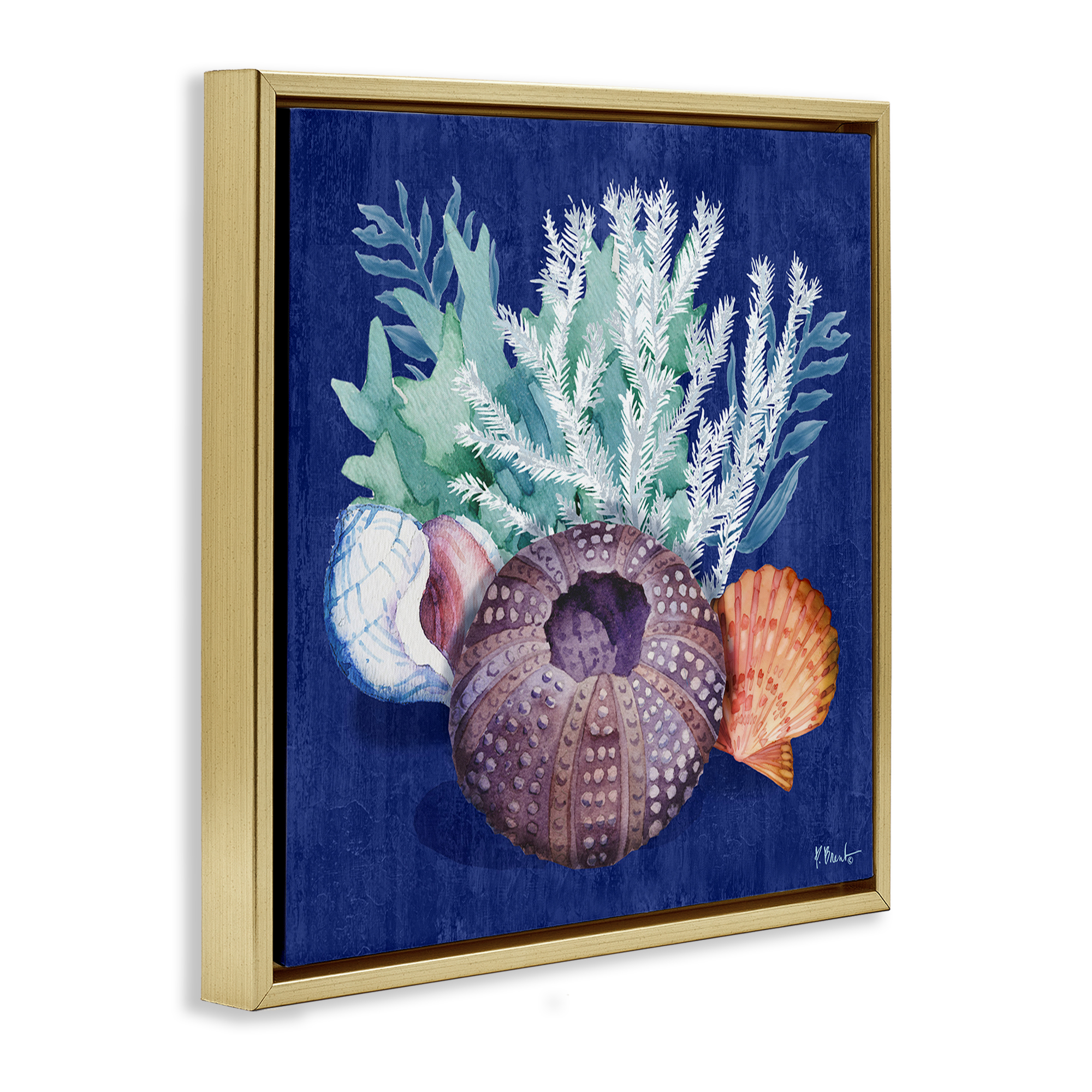 Stupell Industries Urchin Sea Life Coastal Painting Gold Floater Framed Canvas Art Print Wall Art, 18 x 18