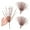 Beige, variant on Orange Pip Berry Sprays (Package of 6) by Factory Direct Craft: Add a Touch of Spring to Your Home