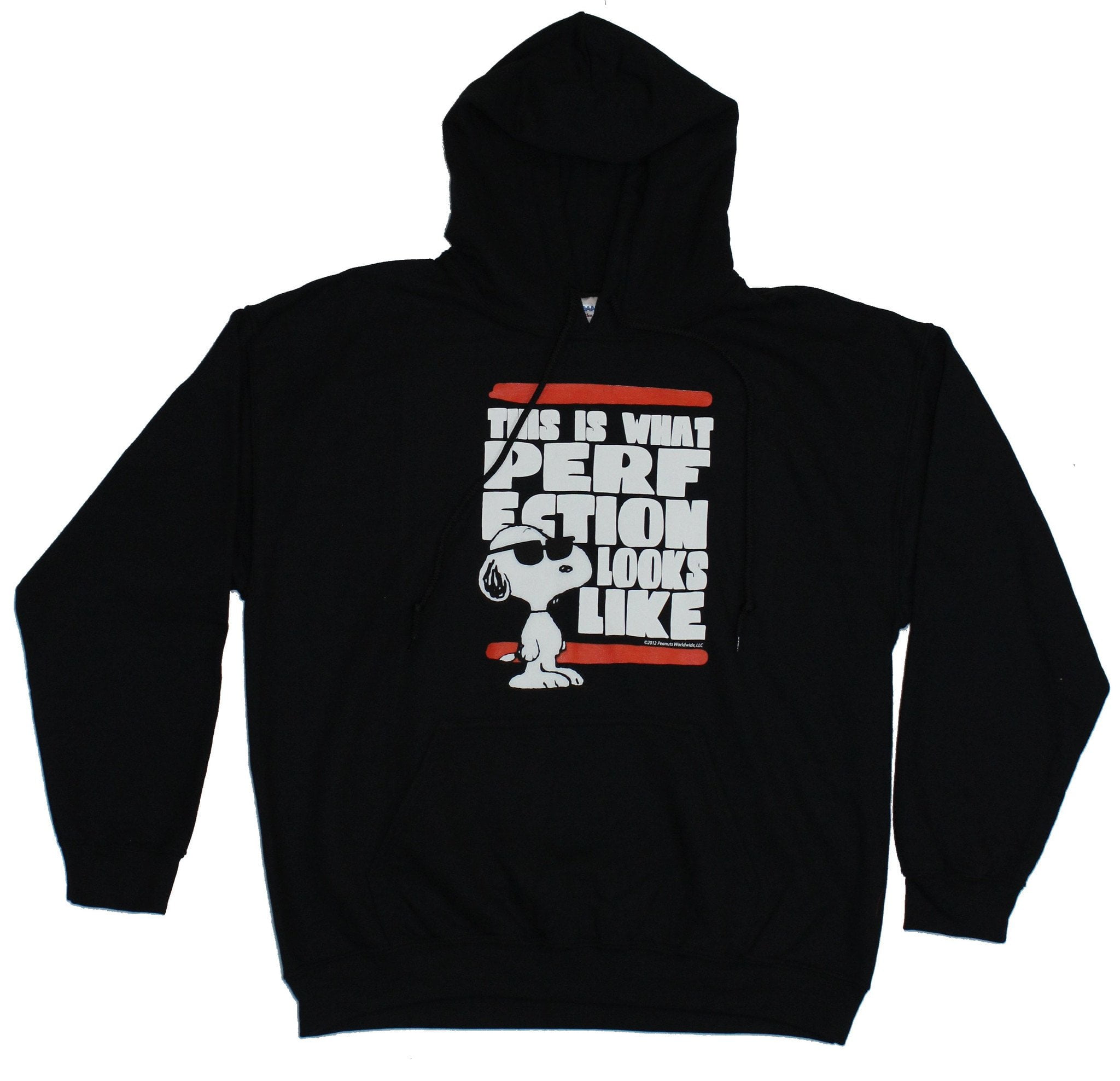 Peanuts Mens Pullover Hoodie Sweatshirt - Snoopy What Perfection Looks Like (Large, Large 