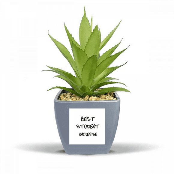Best Student Universe Student Quote Fake Pineapple Flower Pot Vase Mini Decor