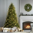 thumbnail image 3 of National Tree Company 7.5 ft Pre-Lit Jersey Fraser Fir Medium Artificial Christmas Tree, 1,000 Clear Lights, 2,696 Tips, Includes Stand, Green, 3 of 11
