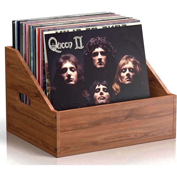 WooOrganix Vinyl Record Storage for 60+ LPs, Retro & Durable Record Holder, Album Storage for Home Decor and Collectible Display
