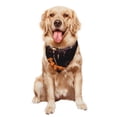 thumbnail image 4 of Lsque Five Nights At Freddy'S Printing Dog Bandana ,Cat Scarf Adjustable Bib Handkerchief Accessories for Dogs Cats,Pet scarf,Pet fashion, 4 of 8