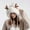 B, variant on Knit Beanie Winter Hat Grey Beanie Hat with Ear Flaps Polyester Winter Hats Ear Covers for Men Women-Warm Daily Headwear One Size