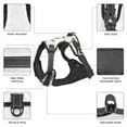 thumbnail image 6 of Lsque Dinosaur on Excavator Dog Harness, No-Pull Pet Harness with 2 Leash Clips, Adjustable Soft Padded Dog Vest with Easy Control Handle for Large Dogs-X-Large, 6 of 9