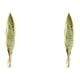 thumbnail image 1 of Toystoory Planta degradable que admite mascotas con bajo mantenimiento para sala de estar Apariencia realista Amplia aplicación Ecológico 3 hojas 40 CM, 40 CM 2Conjunto, 1 of 6