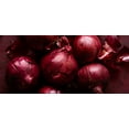 thumbnail image 4 of Red Grano Onion Seeds/ Biennial/ Full Sun/1775 Seeds 1/4 oz / Zellajake Farm and Garden - B52, 4 of 5