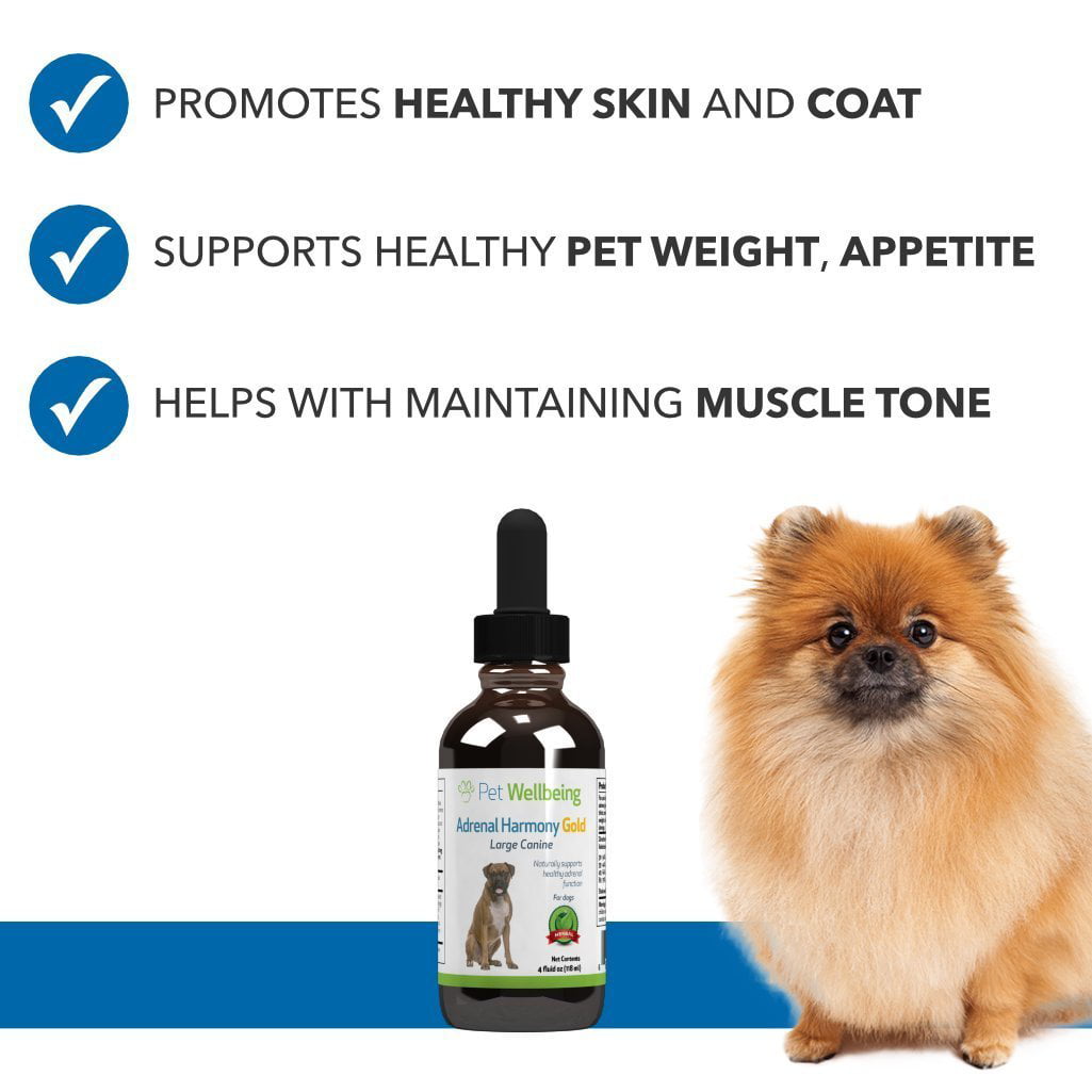 Blood Sugar Harmony Kit Vet Recommended Blood Sugar Support for Canines Pet Wellbeing 