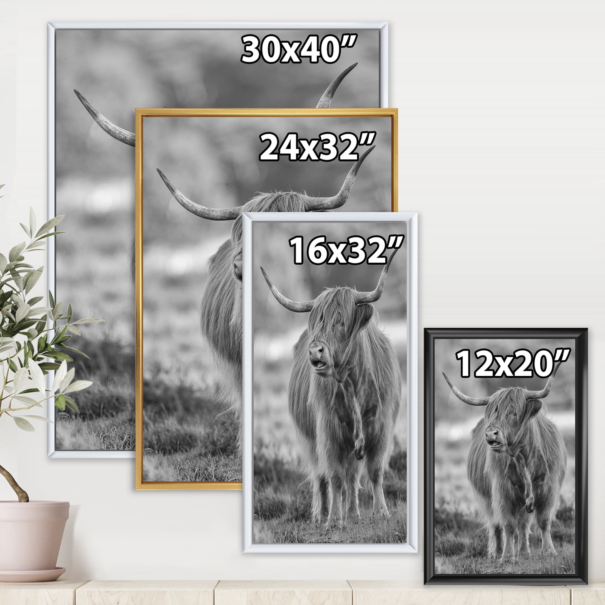Close Up View of Monochrome Bull 16 in x 32 in Framed Photography Canvas Art Print, by Designart