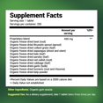 Dr. Berg Organic Greens Superfood Supplement, 250 Tablets Superfood Tabs