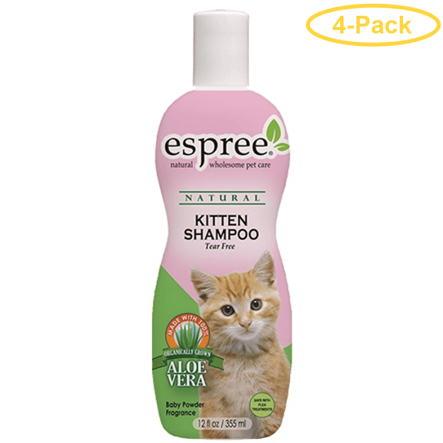 miniature cocker spaniel black