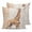Brown, variant on Pillow Covers 18x18 Set of 2, Vintage Zebra Throw Pillow Covers Decorative Couch Cushion Cover, Modern Art Animal Watercolor Microfiber Soft Square Pillowcases for Bedroom Living Room Sofa
