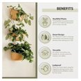Eco Wall Planter, Create a Plant Wall with Hanging Planters for Indoor