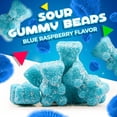 thumbnail image 3 of Sour Gummy Bears Candy (1 Pound Bag) Blue Raspberry Flavor, Sugar-Coated Teddies, 3 of 6