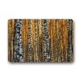 thumbnail image 1 of RYLABLUE Birch Tree Doormat Floor Mats Rugs Outdoors/Indoor Doormat Size 23.6x15.7 inches, 1 of 1