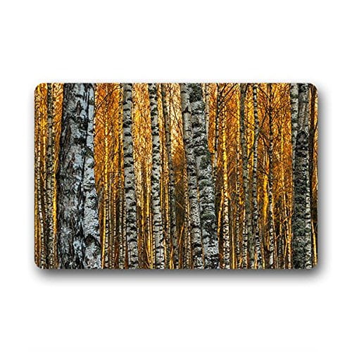 RYLABLUE Birch Tree Doormat Floor Mats Rugs Outdoors/Indoor Doormat Size 23.6x15.7 inches
