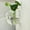 Transparent-429, variant on Popular Picks, Transparent Hydroponic Vase, Glass Crafts Home Decor, 6-inch Diameter, Modern Minimalist Style, for Living Room office, Self-watering Planter, Clear Aesthetic Accent JACSZPA